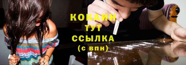 PSILOCYBIN Новодвинск